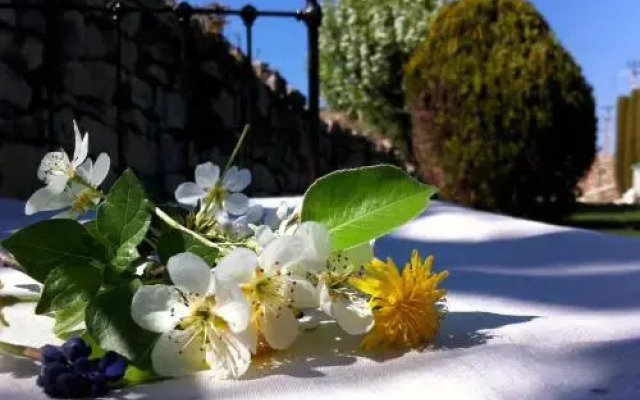 Mas Pichony - Maison d'Hôtes - B&B