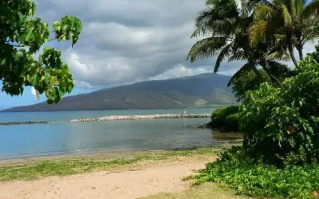 Kihei Bay Surf #226 - Studio Br Condo