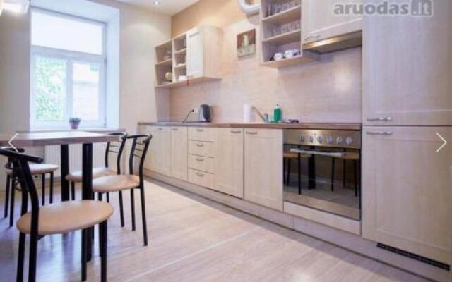 Luxury Apartment Gedimino