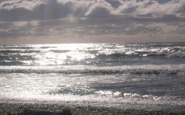 154 Kaniere Road Accommodation – Beach – Hokitika