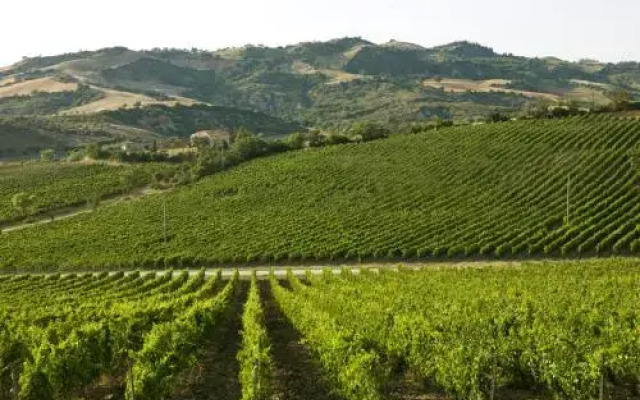 Poderi Firenze