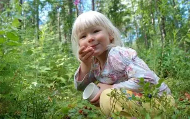 Kapiaisen Lomamökit