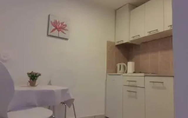 Accommodation Vesa