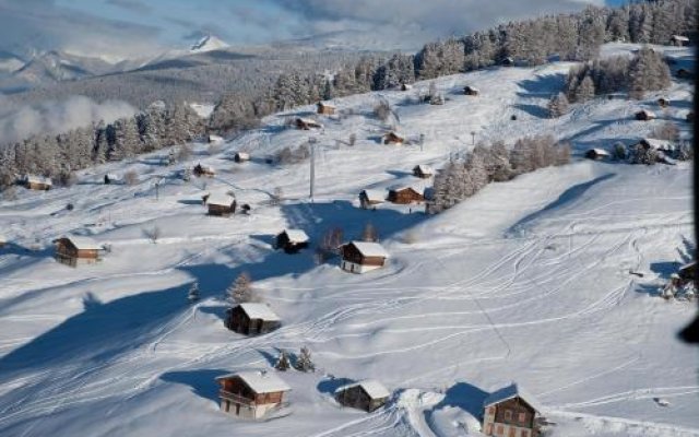 Fontanettaz MOUNTAIN & COSY apartments