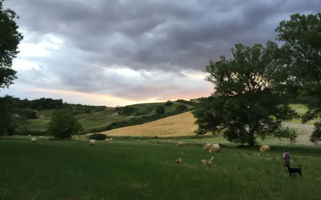 Capannacce Horse-Working Farm