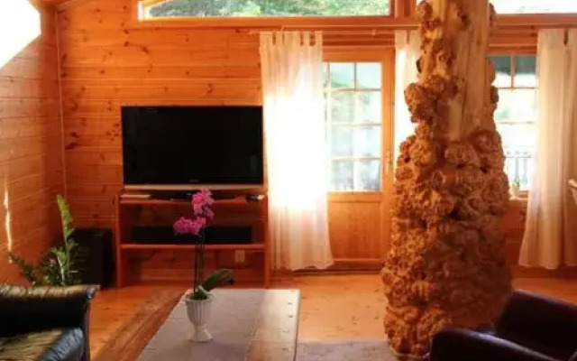 Feriehus ved Lille Torgvatnet