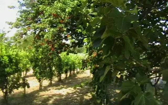 Il Casale della Quercia
