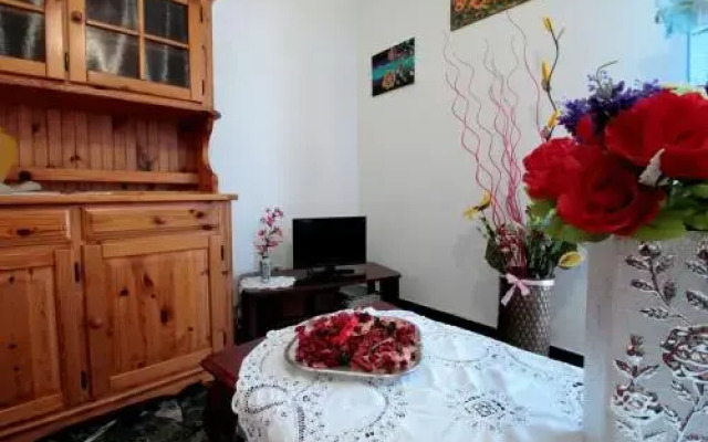 House Argia by Holiday World