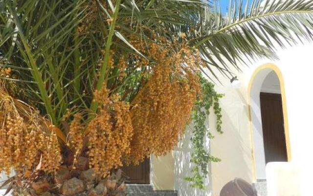 Tolakis Studios