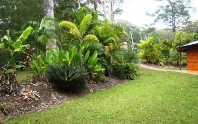 SWR Rainforest Retreat 1