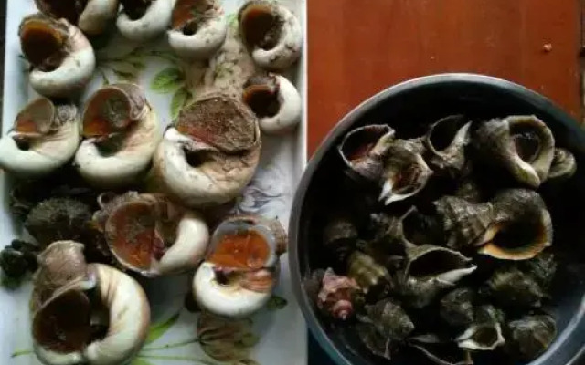 Laoshan Shengyoujia Guesthouse Qingdao