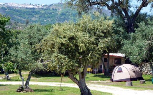 Camping Asseiceira