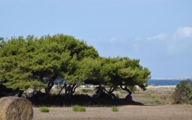 Appartamenti la Pinetina di Favignana