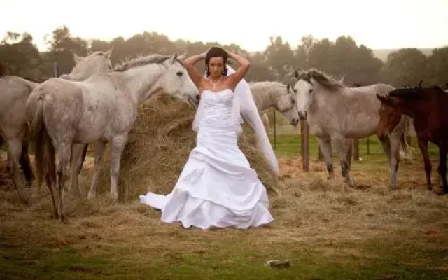 Lavender Hill Country Estate and Wedding Venue