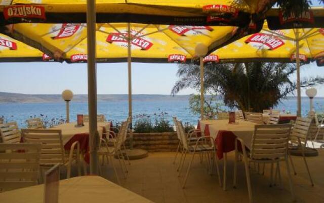 Bed And Breakfast Miramar