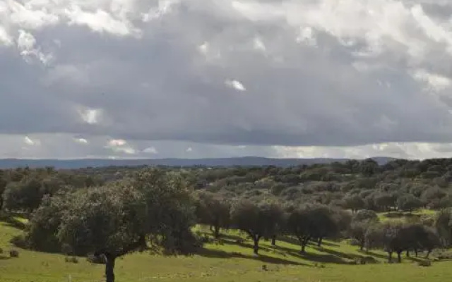 Casa Rural Majalón