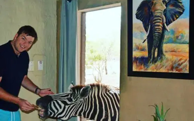Honey Badger Safari House