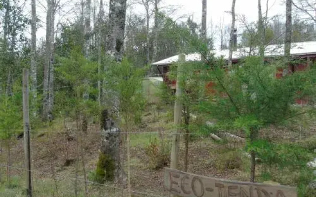 Eco-Cabañas Quetroleufu
