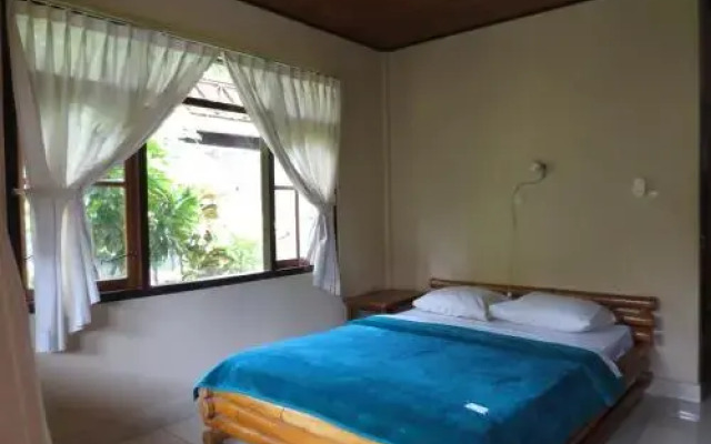 Paradise Palm Beach Bungalows
