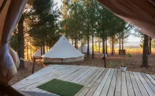 Cherry Glamping