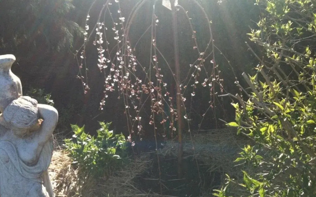 Glen Waverly Farmstay