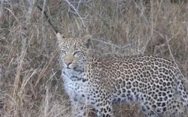 Khumbula iAfrica