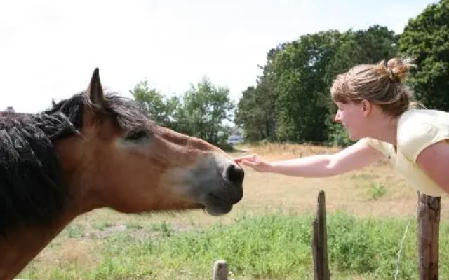 Appartementencomplex Bosch en Zee
