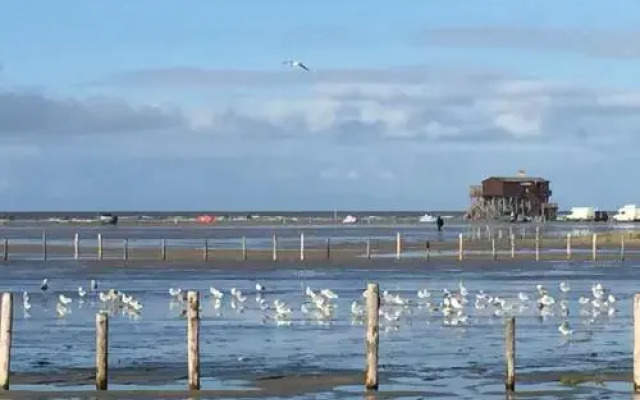 Hüs am Wall - Reetdachapartments - St. Peter Ording