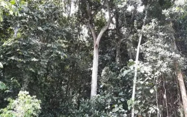 Albergue de Montaña Talari