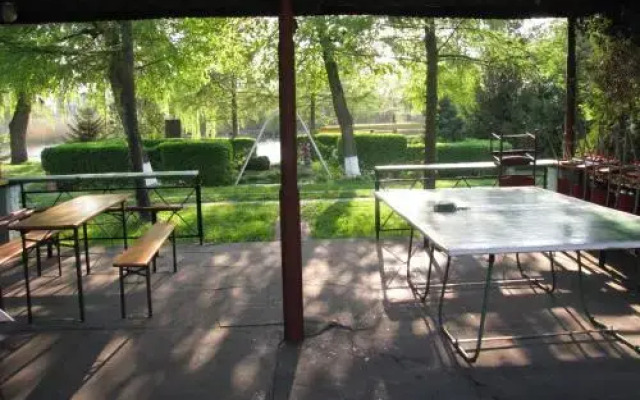 Camping nr 61