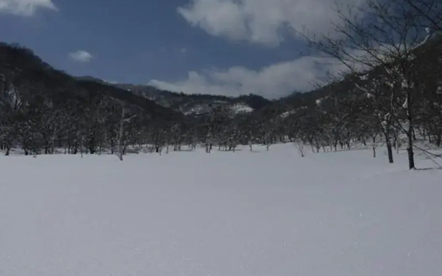 Shinano Pension