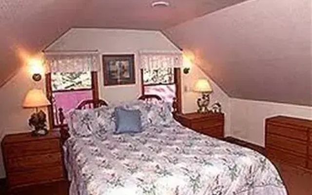 2921 Freel Peak Holiday Home