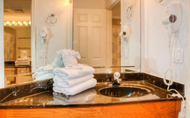 Ocean Forest 1811 - Ocean Front