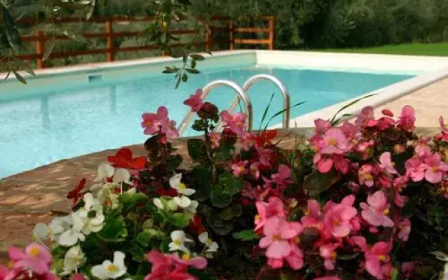 Azienda Agrituristica Il Sasso Di Maccari Avisano