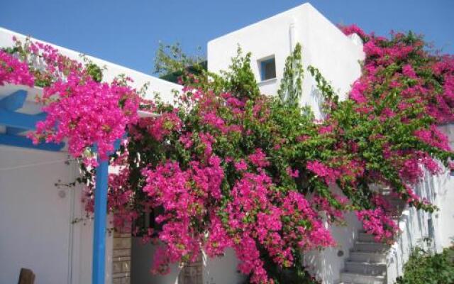 Aggeliki's Diamond