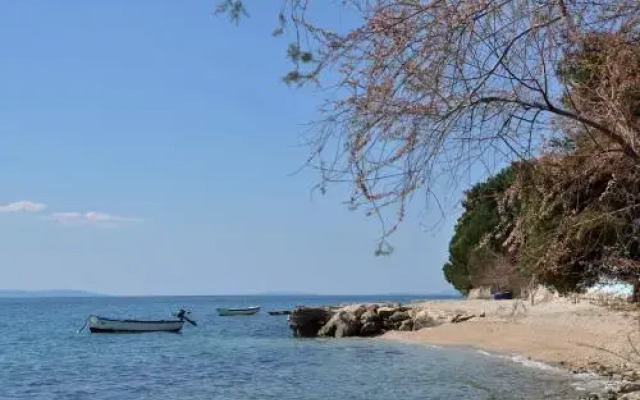 Apartments Davor Ceko