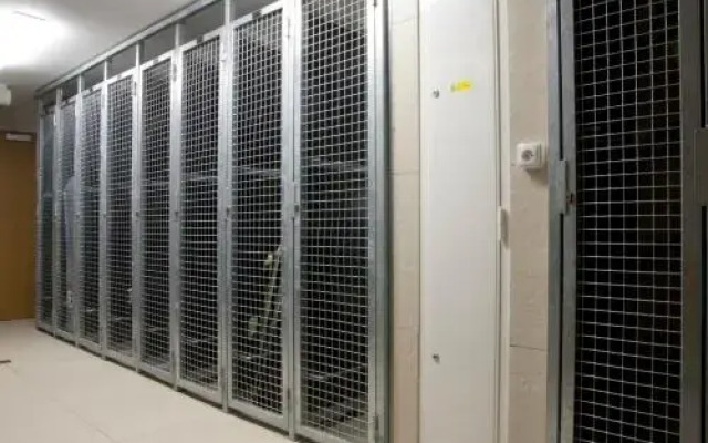 Apartmán Petra Clinic Javor