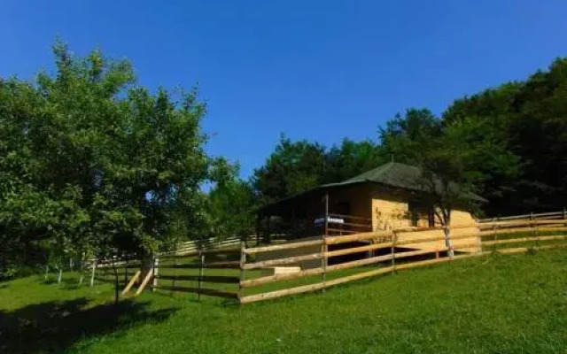 Forest Lodge on the Pyramid