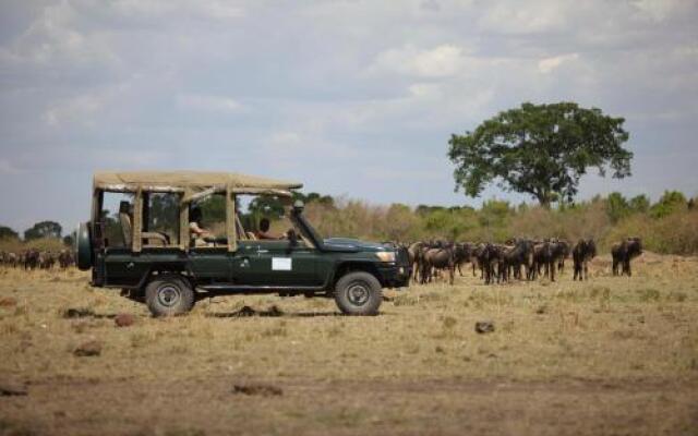 Ngerende in the Wild Riverview