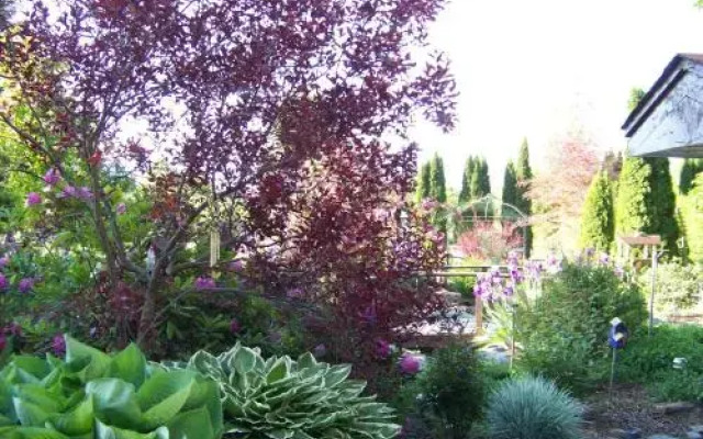 Bavarian Orchard Motel