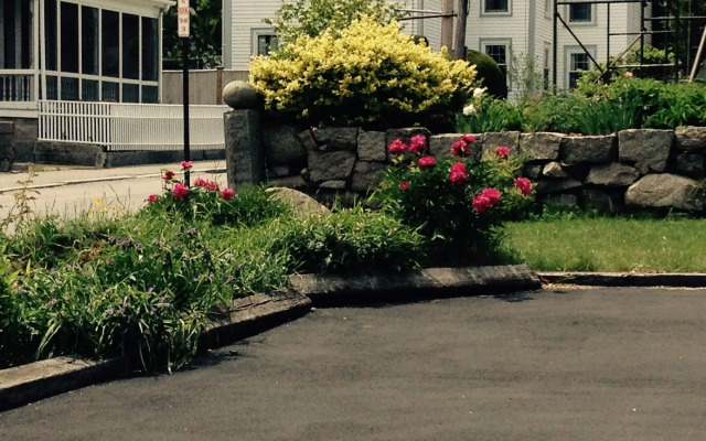 The Linden Tree Inn