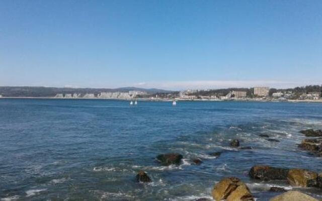 Regatas de algarrobo