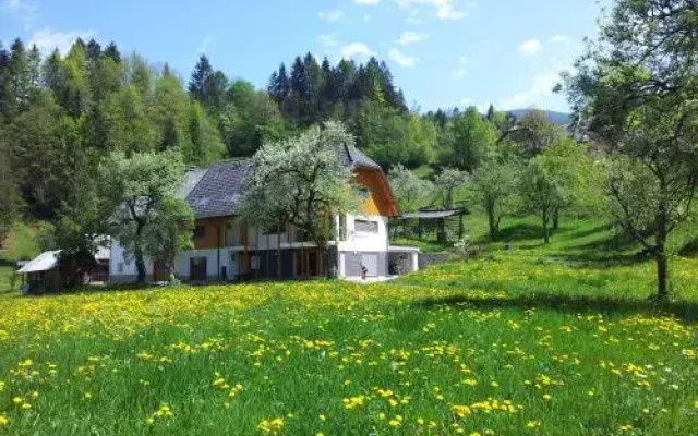 Apartments Tourist Farm Štorman