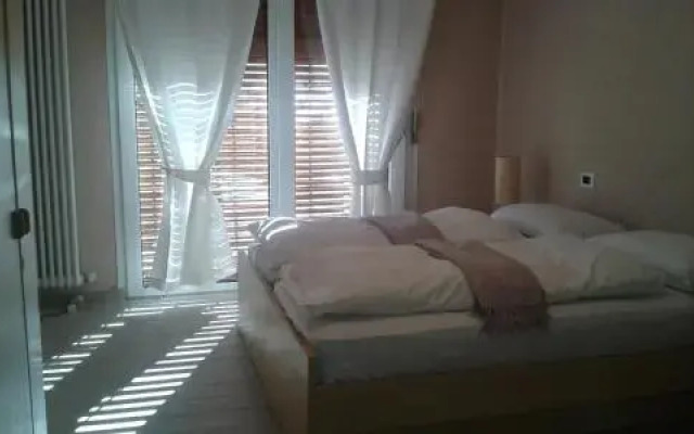 Azalea Codice Cipat 22039-AT-65309