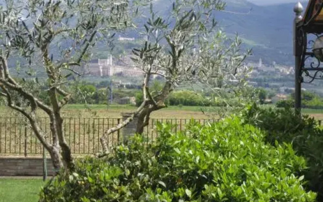 La Strada Di Francesco DAssisi