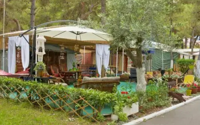 Olympos Beach