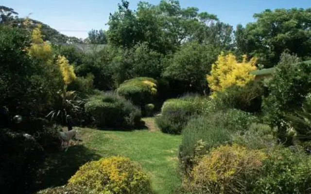 Villa Pascal Guest House & Theatre