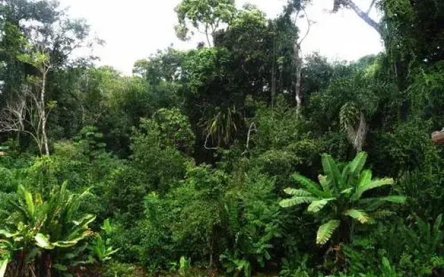 Vila Engawa Flats