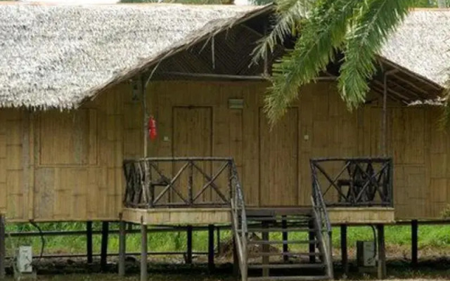 Borneo Proboscis River Lodge