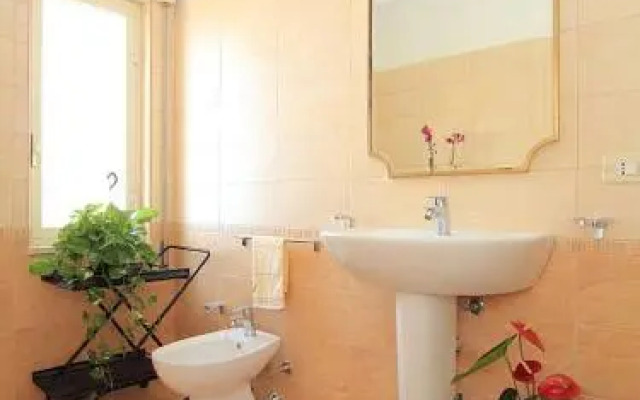 Terra Del Sole Seccagrande